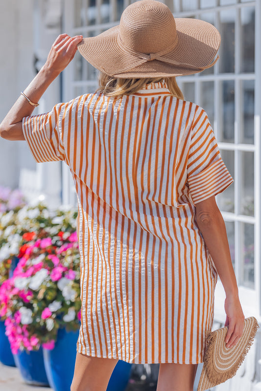 Brown Stripe Mini Dress