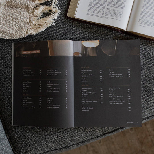 Job - Holding to Hope