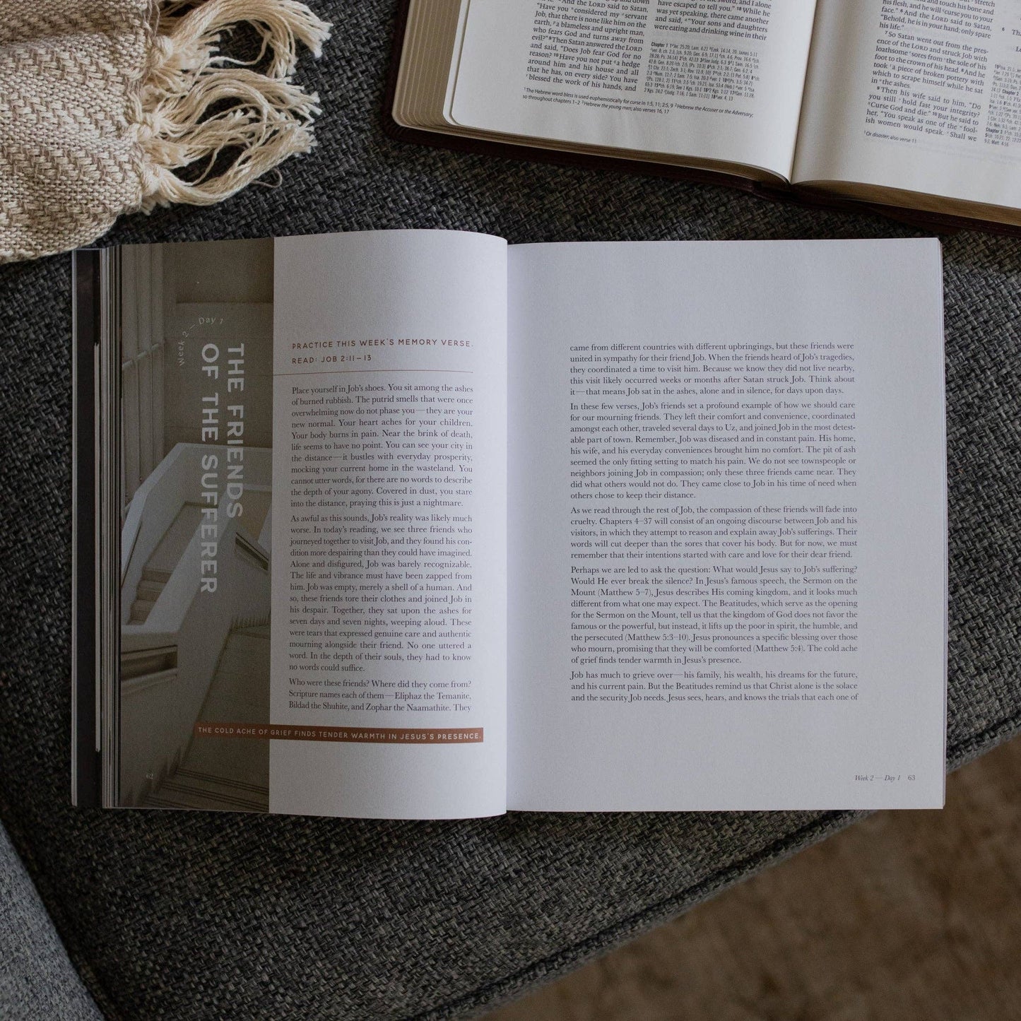 Job - Holding to Hope