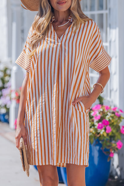 Brown Stripe Mini Dress