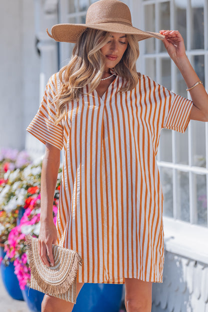 Brown Stripe Mini Dress