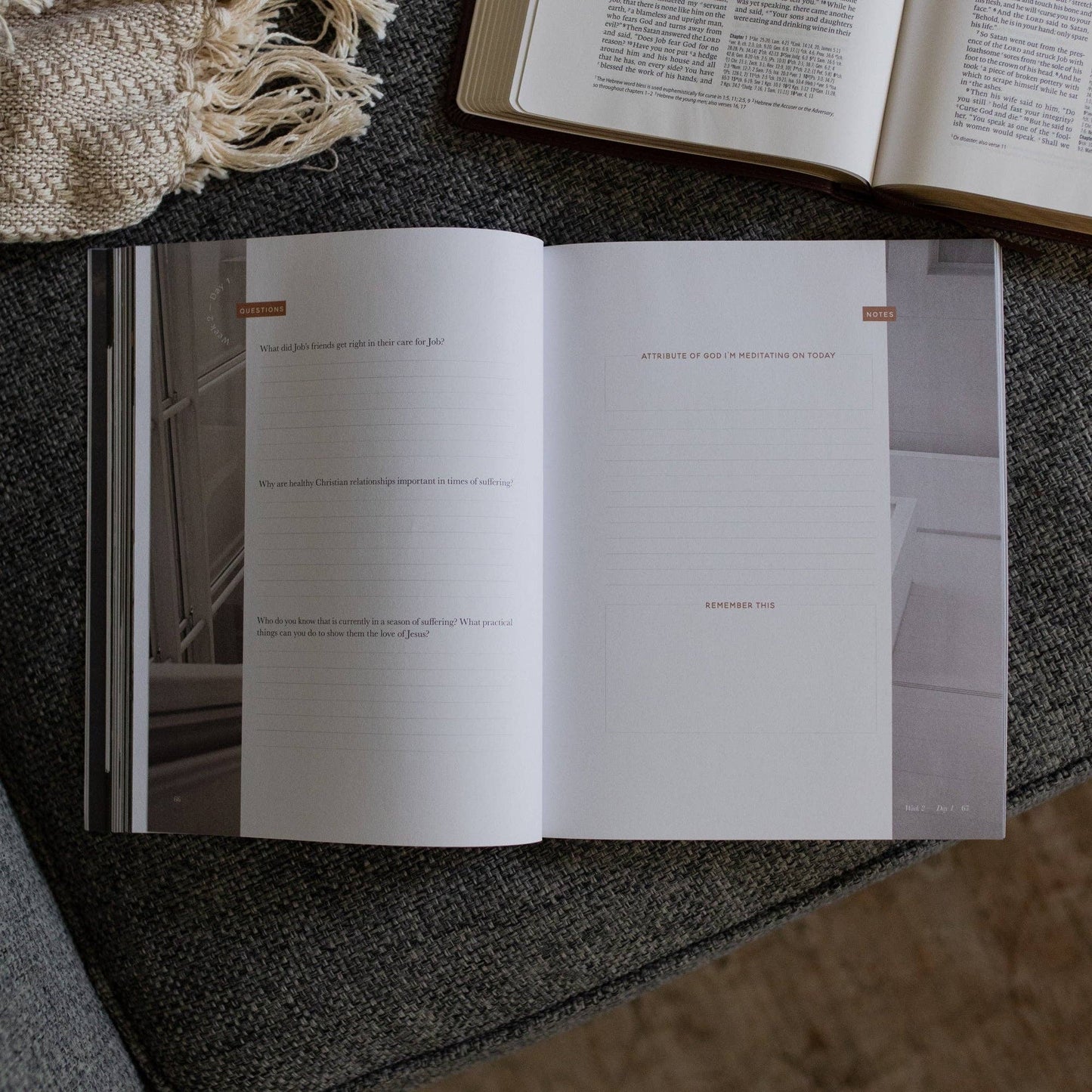 Job - Holding to Hope