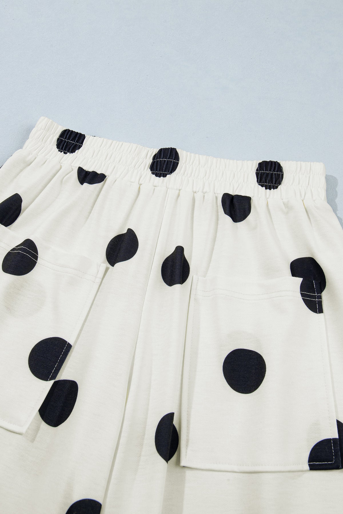 Polka Dot Wide Leg Elastic Waist Casual Pants