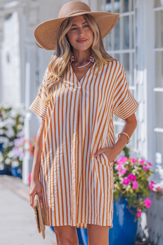 Brown Stripe Mini Dress