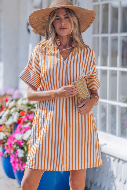 Brown Stripe Mini Dress