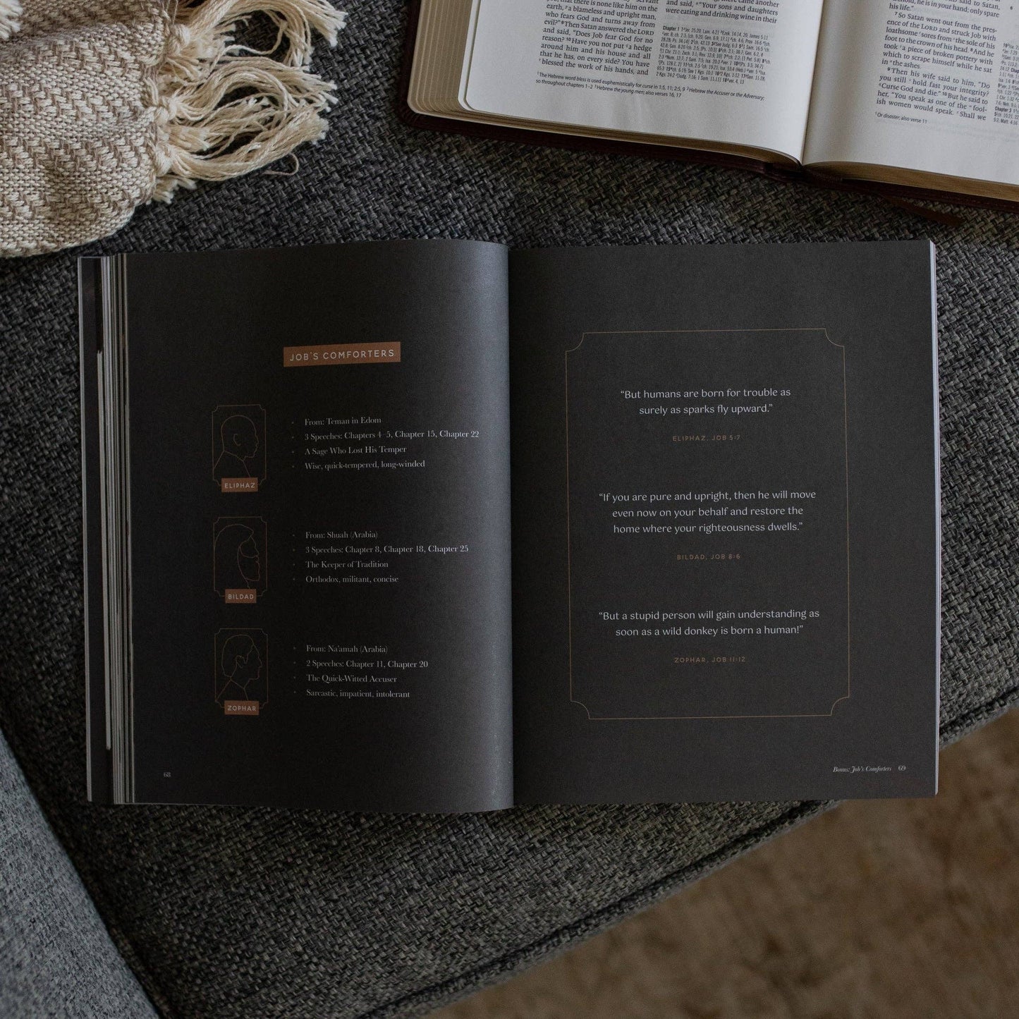 Job - Holding to Hope