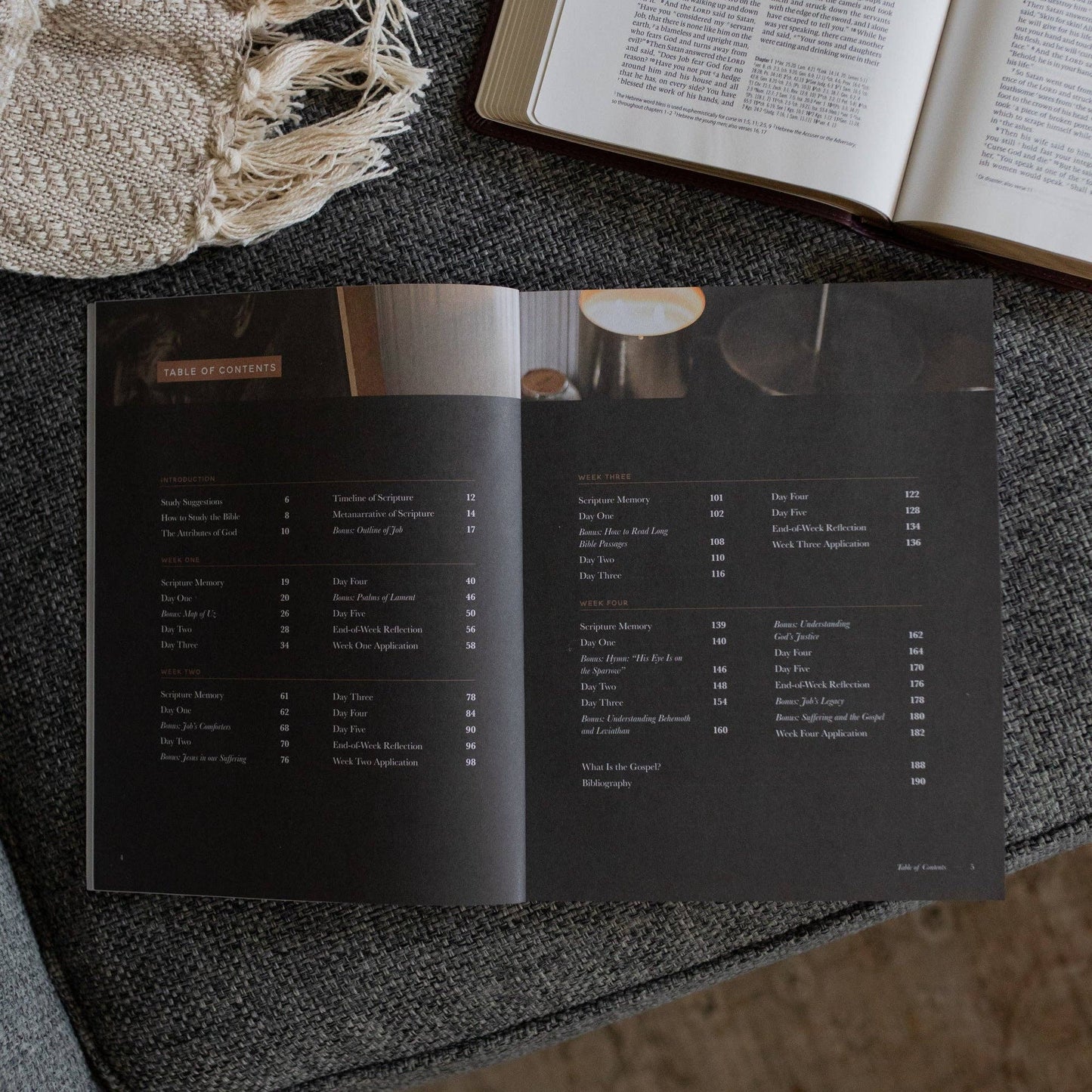 Job - Holding to Hope