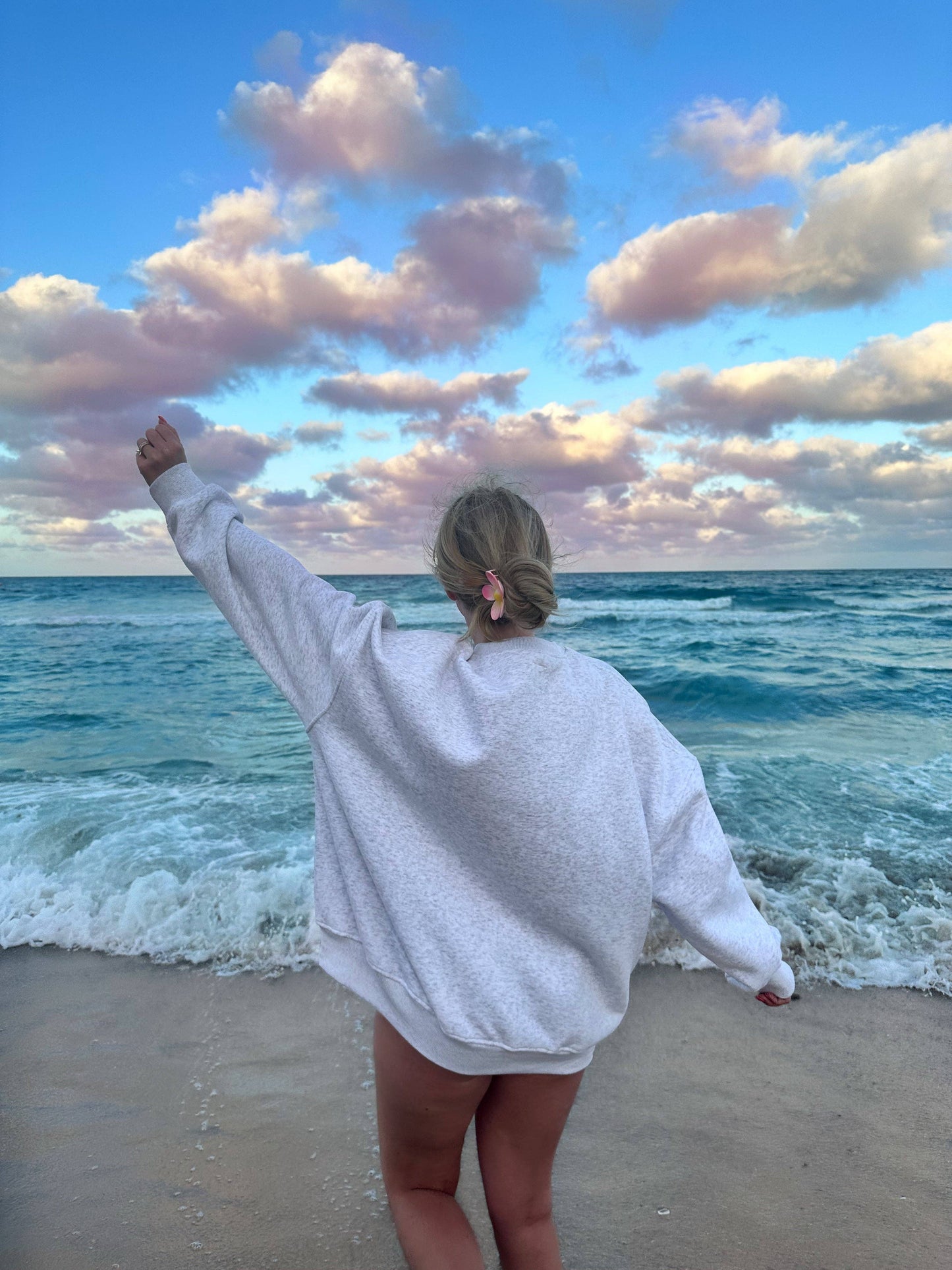 Sunkissed Coconut Pearl Grey United States Of America Embroider Sweatshirt