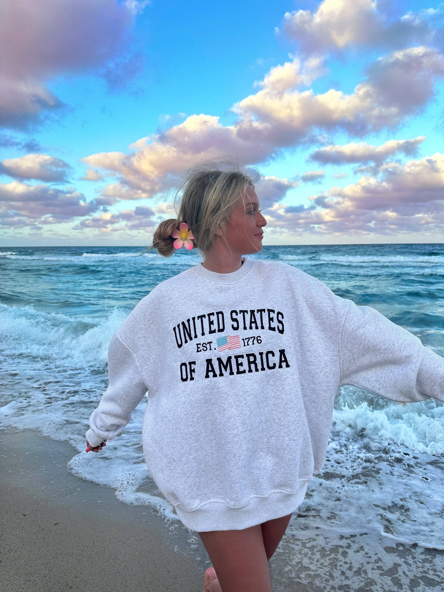 Sunkissed Coconut Pearl Grey United States Of America Embroider Sweatshirt
